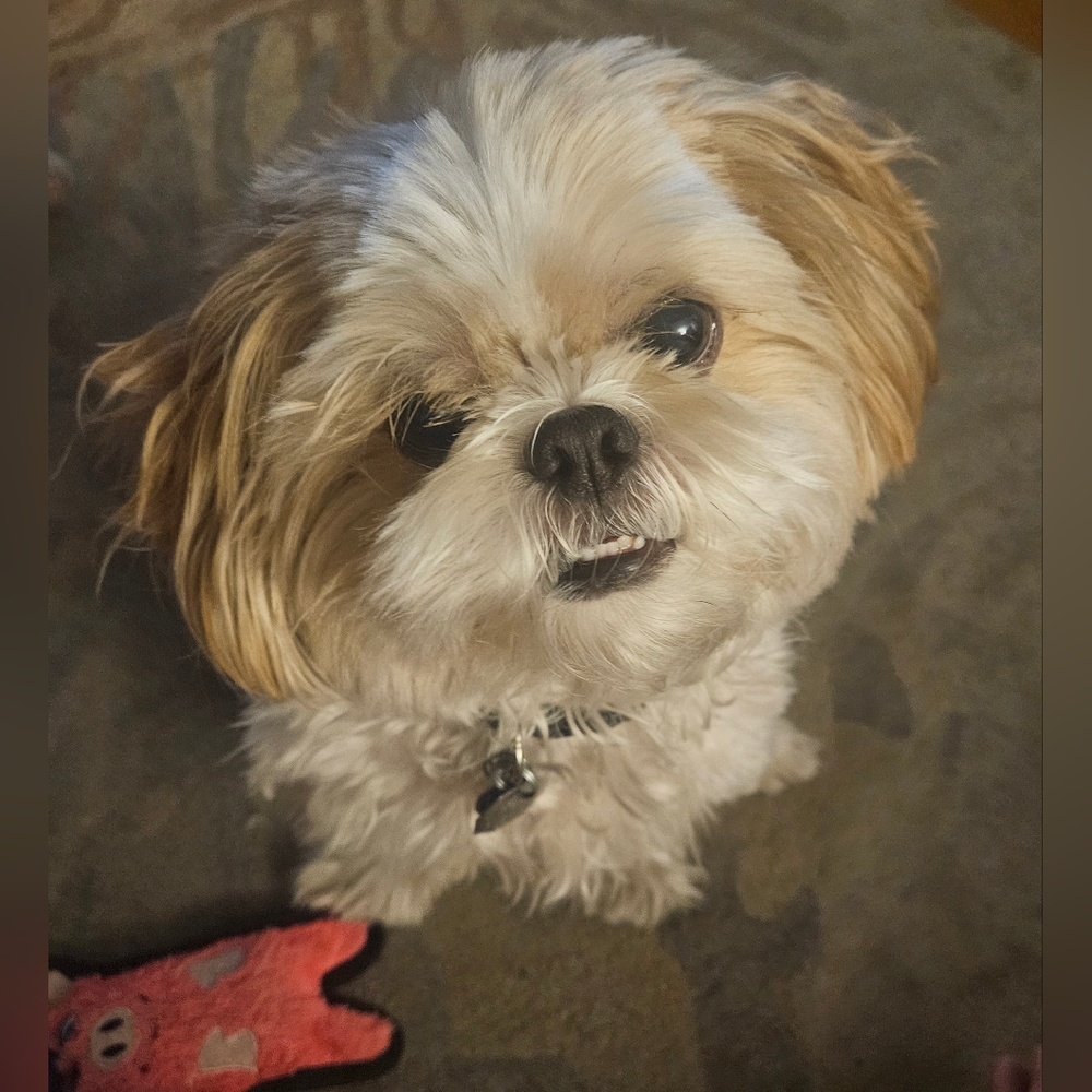 CUBBY - Picture 2 of 4